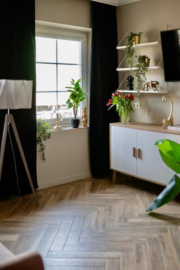 Apartamenty Zamkowe Centrum Квидзин Екстериор снимка